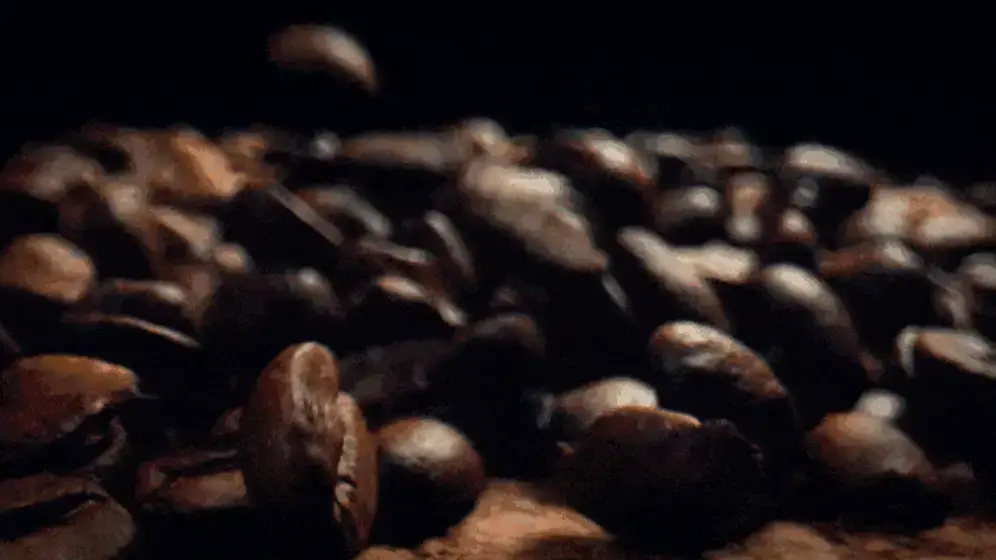 coffee beans closeup