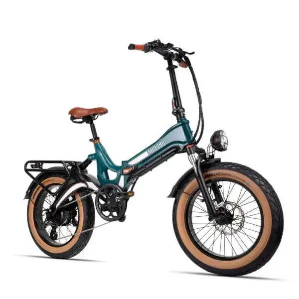 Electric Bicycles